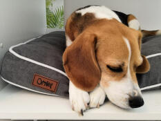 Tartine sur son matelas