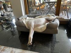 Max après la baignade