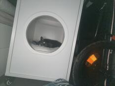 On dort tellement bien ici 