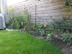 Une clôture Omlet dans un jardin