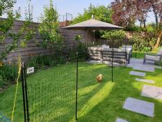 Une clôture Omlet avec un poulet à l'intérieur