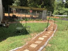 Une installation de gaden pour les poules en utilisant des clôtures pour poules.