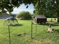 Un poulailler en bois derrière une clôture à poules avec une structure de dôme déshydraté à côté Geo