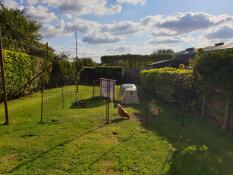 Clôture pour poulets dans un jardin, avec un poulailler et des poulets à l'intérieur