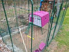 Violet Omlet Eglu Cube grand poulailler à l'intérieur Omlet parcours pour poules à pied