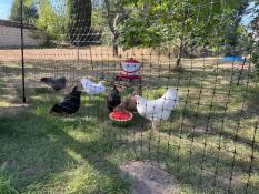 S'intègre bien dans le jardin.