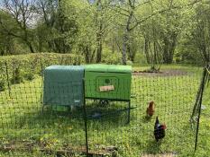 La ferme de poulets de marion