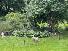 Grillage pour canards