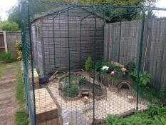 Pas seulement pour les poulets !