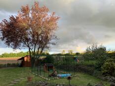 Omlet catio extérieur dans le jardin