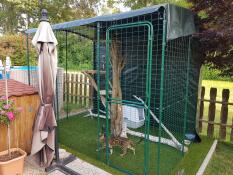 Omlet catio extérieur avec chat à l'intérieur