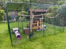 Omlet catio extérieur dans le jardin