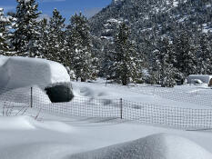 Matinée au colorado