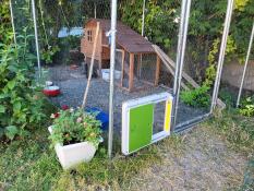 Porte Automatique pour poulailler