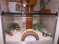 Qute tube