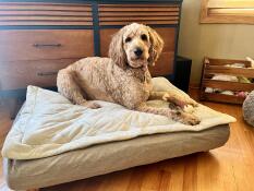 Un chien couché sur son lit gris avec un dessus matelassé