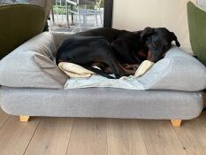 Un chien dormant sur un lit à traversin en mousse à mémoire de forme