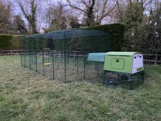 Chicken run 3x4x2 avec extension