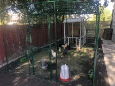 Un parcours pour poules attaché à un poulailler en bois.