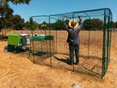 Homme installant Omlet un parcours pour poules avec Omlet vert Eglu Cube grand poulailler et parcours pour poules