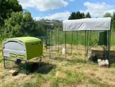 Un poulailler vert relié au côté d'un grand poulailler à accès libre.