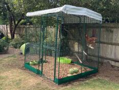 Doris et aggie au palais de cluckingham