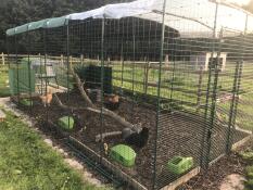 Notre parcours est maintenant de 6x3x2 et les poulets l'adorent !