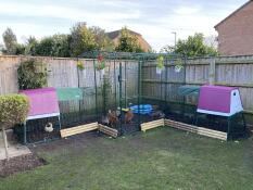 Notre parcours ultime pour les poules ! 
