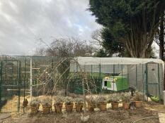 Remplacement de Eglu, extension du parcours de 3m et centre de divertissement, poules heureuses !
