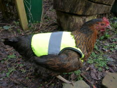 Tegan est une adepte inconditionnelle de la mode. les vestes hi viz sont pratiques, mais elles sont aussi très belles.