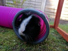Oreo profite de son tunnel caché