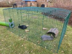 Deux lapins dans leur enclos relié à un tunnel vert