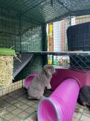 La visite de leur nouvelle maison