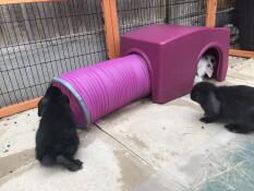 Les bébés adorent leur nouveau jouet.