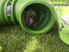 Lilly fait un petit somme.