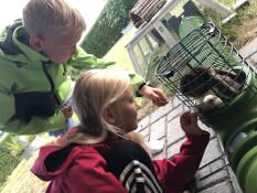 Fille et garçon jouant avec un lapin dans le tunnel Omlet Zippi 