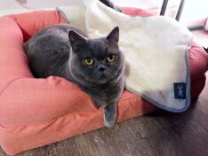 Faites-vous un modèle à taille humaine ?! si doux, coco l'adore !