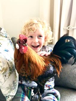 Arthur et Boris le Bantam