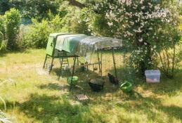 Eglu Cube chez farming girls