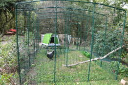 Eglu go up dans un grand enclos 4mx 3m x2m