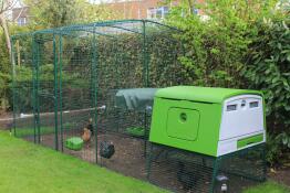 Un grand poulailler vert Eglu Cube avec un parcours d'entrée attaché et des poules à l'intérieur