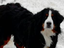 Notre fille est assez heureuse dans la neige