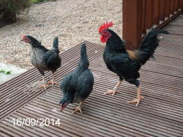 Agréable et sec sur la terrasse!