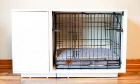 Un Fido Studio avec une armoire et une cage