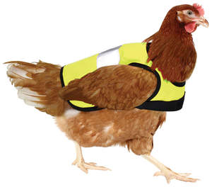 Gilet de signalisation pour poules – Jaune