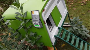 Omlet vert Eglu Cube grand poulailler avec Omlet porte automatique de poulailler