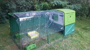 Grand poulailler vert Cube avec un parcours et une couverture sur le dessus et des manGeoires à larves attachées