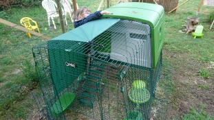 Omlet vert Eglu Cube grand poulailler et parcours dans le jardin