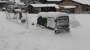 Un Omlet Eglu Cube poulailler couvert dans le Snow.