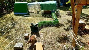 Le tunnel pour lapins Zippi qui relie un clapier et un parcours.